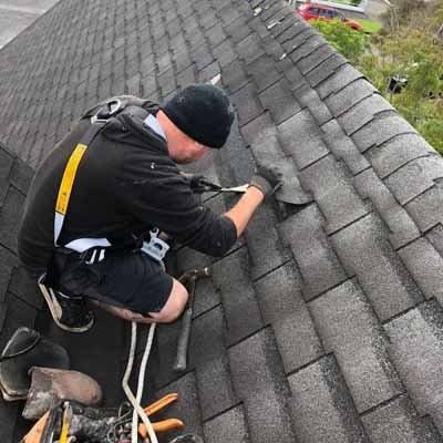 Roofer wearing a safety harness repairing an asphalt shingle by hand on an Auckland roof